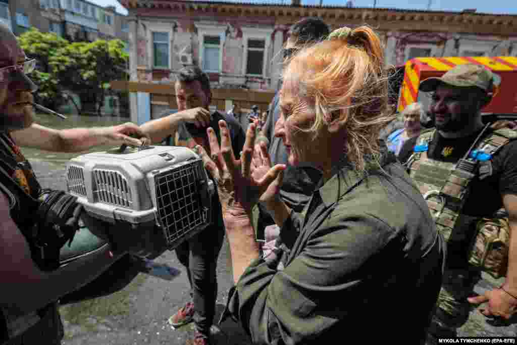 Реакция женщины, когда волонтеры достают ее домашних животных из лодки после их спасения. Херсон, 7 июня.