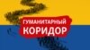 Павел Гольдин: Животные испытывают все тяготы войны